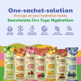 Sweetmate Electrolyte Drink Mix- Blueberry Flavor (Pack of 20)