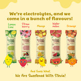 Sweetmate Electrolyte Drink Mix- Assorted Pack of 10